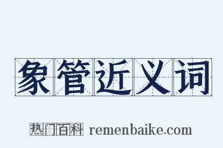 象管近义词是什么意思的图片